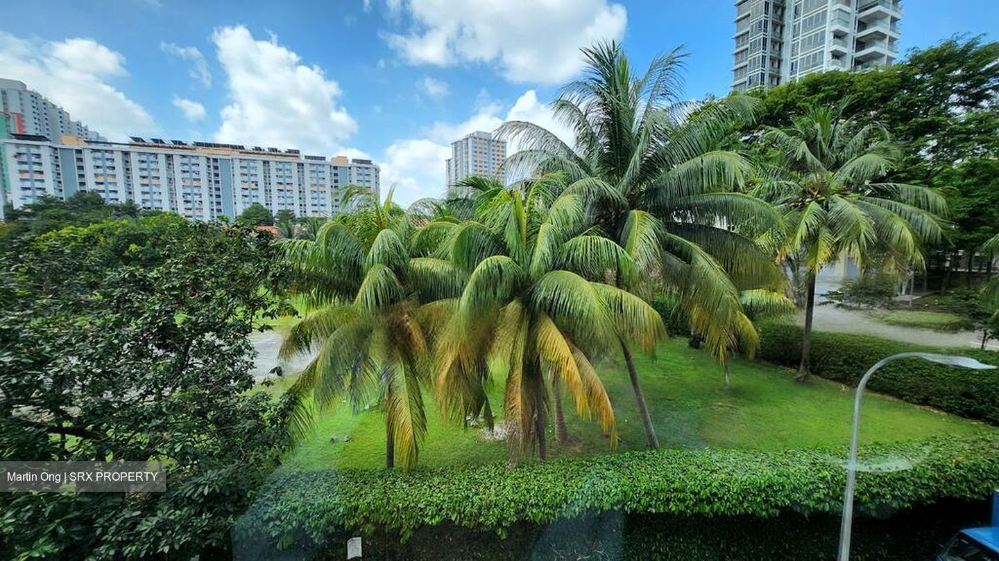 Rangoon Road (D8), Apartment #456134051